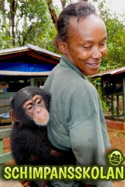 Chimp School (2017)