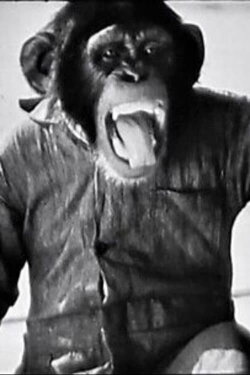 Chimp The Aviator (1945)