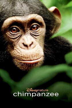 Chimpanzee (2012) Chimpanzee (2012)