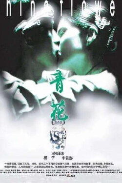 China Flower (2005) China Flower (2005)