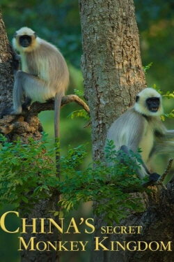 China's Secret Monkey Kingdom (2021)