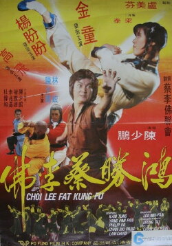 Choi Lee Fat Kung Fu (1979) Choi Lee Fat Kung Fu (1979)