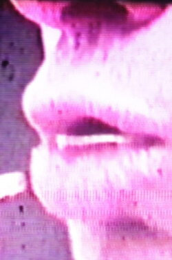 Cholesterol (1996)