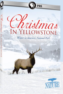 Christmas in Yellowstone (2006) Christmas in Yellowstone (2006)