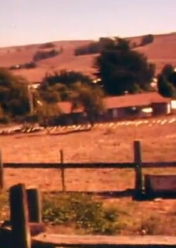 Christo Running Fence Reels: Don’t Squeeze The Fence (1976) Christo Running Fence Reels: Don’t Squeeze The Fence (1976)