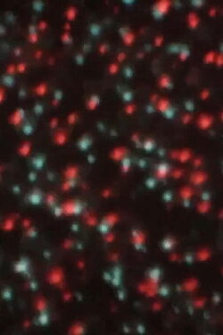 ChromaDepth fireworks (2021)