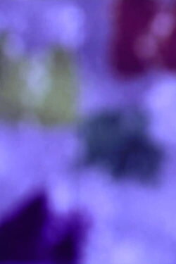 Chromograms 3 (1961)