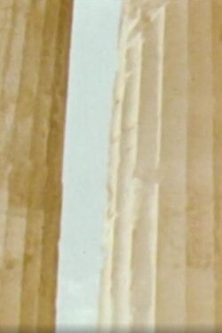 Chronique Atopique (1981)