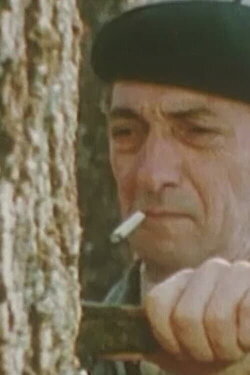 Chronique de Bercé (1976) Chronique de Bercé (1976)