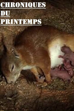 Chroniques du printemps (2016) Chroniques du printemps (2016)