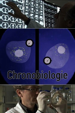 Chronobiology (2013)