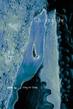 Chrysalide (2024) Chrysalide (2024)