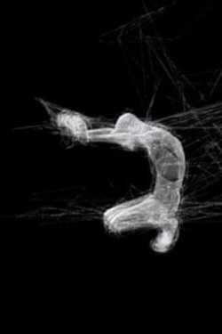 Chrysalide (2004) Chrysalide (2004)