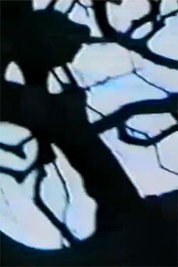 Chrysalides en explosion (2001)