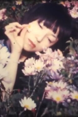 Chrysanthemum Inspiration (2005) Chrysanthemum Inspiration (2005)