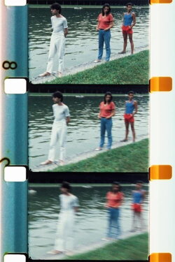 Chutes de Feuilles d’été (1983) Chutes de Feuilles d’été (1983)