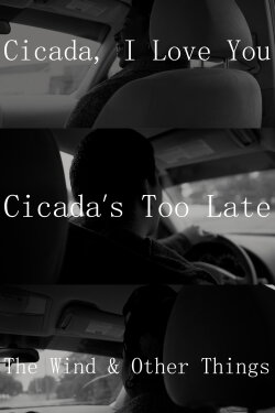 Cicada, I Love You - Cicada's Too Late; The Wind & Other Things (2024) Cicada, I Love You - Cicada's Too Late; The Wind & Other Things (2024)