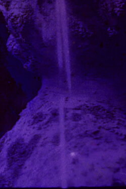 CICATRIX (2014) CICATRIX (2014)