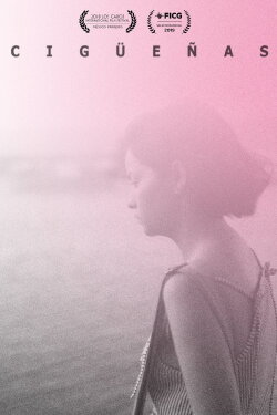 Cigüeñas (2018)