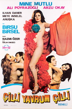 Çilli Yavrum Çilli (1975)