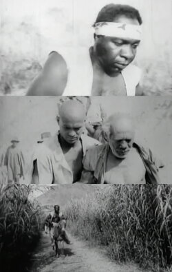 Cimarrones (1983)