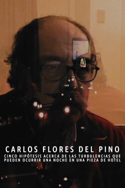 Cinco hipótesis acerca de las turbulencias que pueden ocurrir una noche en una pieza de hotel (2004)