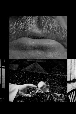 Cinema Study (2003) Cinema Study (2003)