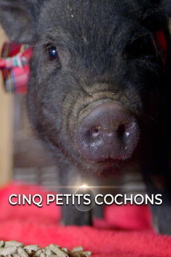Cinq petits cochons (2016)
