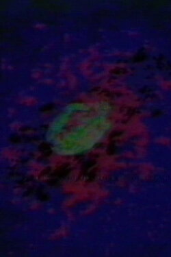 Circling (1975)