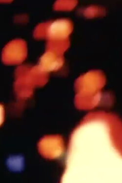 Circuit (1999)