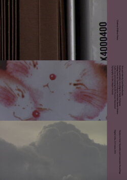 Citations Without Music (2021)