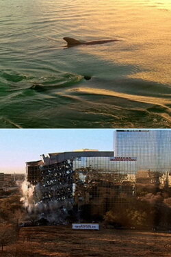Cities of Gold and Mirrors (2009) Cities of Gold and Mirrors (2009)