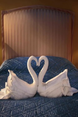 CitizenM: Swan Song (2014) CitizenM: Swan Song (2014)