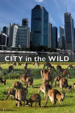 City In The Wild (2021)