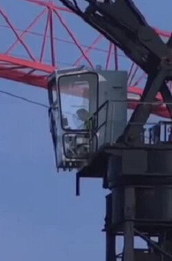 City of Cranes (2007) City of Cranes (2007)