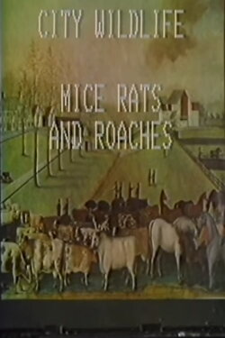 City Wildlife: Mice, Rats, and Roaches (1980) City Wildlife: Mice, Rats, and Roaches (1980)