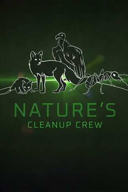 Clean Up Crew (2021) Clean Up Crew (2021)