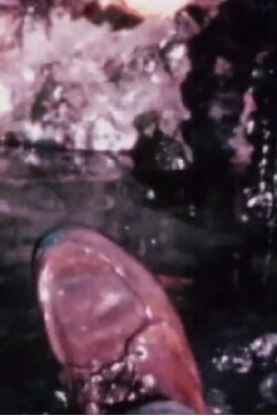 Cleansed II (1969)