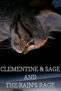 Clementine & Sage and The Rain's Rage (2024) Clementine & Sage and The Rain's Rage (2024)