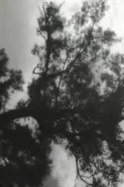 Clouds (2002)