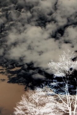 Clouds and Trees (2020) Clouds and Trees (2020)