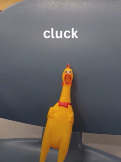 cluck (2023)