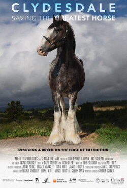 Clydesdale: Saving the Greatest Horse (2020) Clydesdale: Saving the Greatest Horse (2020)