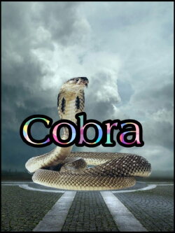 Cobra (1997) Cobra (1997)