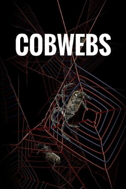 Cobwebs (2013) Cobwebs (2013)