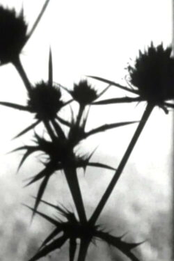 Coda (1970)