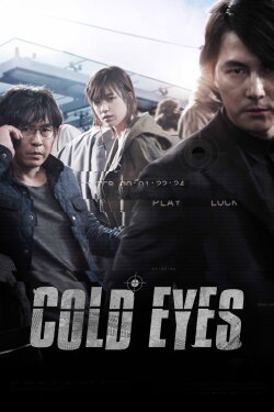 Cold Eyes (2013)