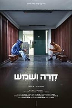 Cold Frost & Sunshine (2019) Cold Frost & Sunshine (2019)