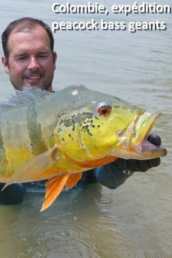 Colombia, A Giant Peacock Bass Expedition (2019) Colombia, A Giant Peacock Bass Expedition (2019)