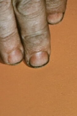 Color Aid (1971) Color Aid (1971)